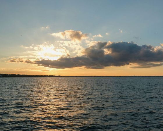 Sunset Sail Catamaran w/Bar– The Ultimate CHS Bachelorette Experience image 10