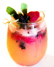 Mobile Serves by Nirvs: Bringing the Bar to Your Party image 2