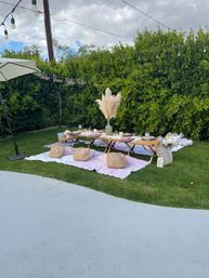 Beautiful Luxe Desert Picnic Setup Curated for Your Party Theme and Wants image 19