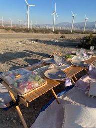 Beautiful Luxe Desert Picnic Setup Curated for Your Party Theme and Wants image 23