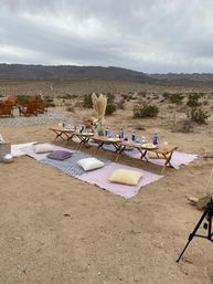 Beautiful Luxe Desert Picnic Setup Curated for Your Party Theme and Wants image 7