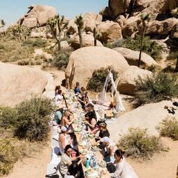 Beautiful Luxe Desert Picnic Setup Curated for Your Party Theme and Wants image 22