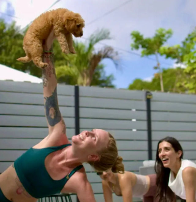 Puppy Yoga Experience at Your Vacation Rental image 3