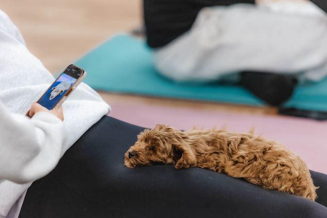 Puppies & Pilates Experience at Your Vacation Rental image 3
