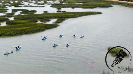 Kayak Adventure through Hilton Head image 9