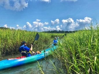 Kayak Adventure through Hilton Head image 5
