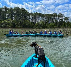 Kayak Adventure through Hilton Head image 4