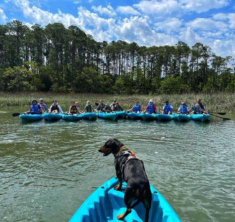 Kayak Adventure through Hilton Head image 4