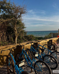 Bike Rentals on 30A: Cruise the Coast with Ease image 3