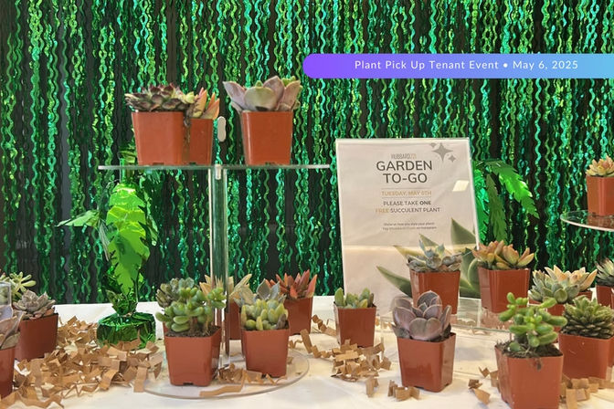 Curated Activities, Event Planning & Décor with Ombré + Towne image 7