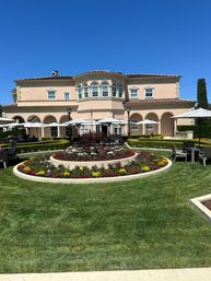 Sip, Savor, Celebrate: - 8-hrs- Boutique Private Wine Tour to Napa and/or Sonoma from San Francisco and beyond. image 14