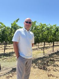 Sip, Savor, Celebrate: - 8-hrs- Boutique Private Wine Tour to Napa and/or Sonoma from San Francisco and beyond. image 10
