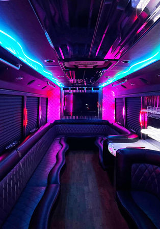 Off Peak Season: BYOB Premier Party Bus Experience in Tampa Bay with LED Lights, Stocked Cooler, 4K TVs, & Sound System image 2