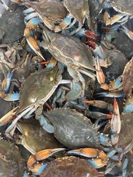 Traditional New Orleans Seafood Boil Fiesta: Crawfish, Crab, or Shrimp image 8