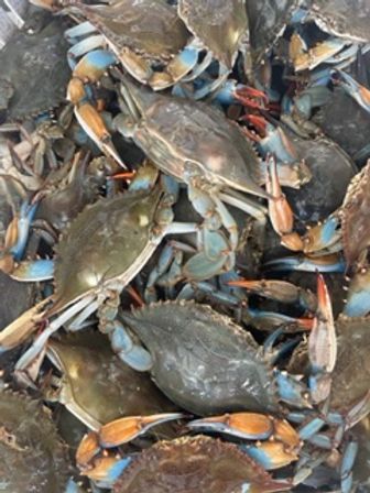 Traditional New Orleans Seafood Boil Fiesta: Crawfish, Crab, or Shrimp image 8