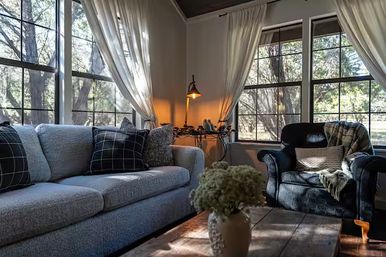 Cozy sunlit living room with a plush light-gray sofa and black armchair, large grid windows framing trees, sheer curtains, wooden coffee table with a vase of dried flowers, and a warm reading lamp.