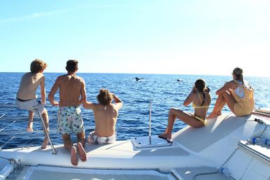 3-Hour Private Snorkeling Tour on Deluxe Catamaran image 7