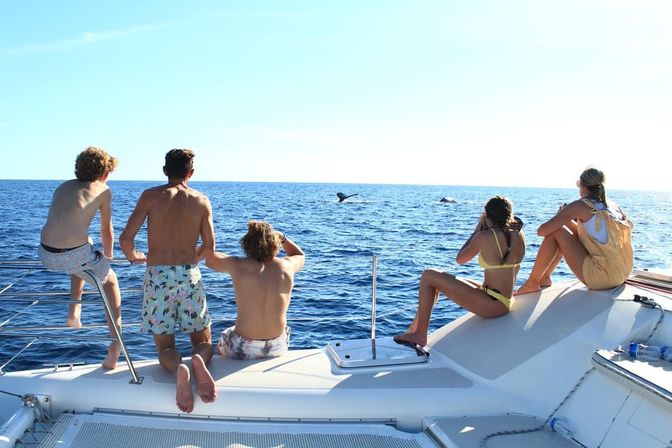 3-Hour Private Snorkeling Tour on Deluxe Catamaran image 7