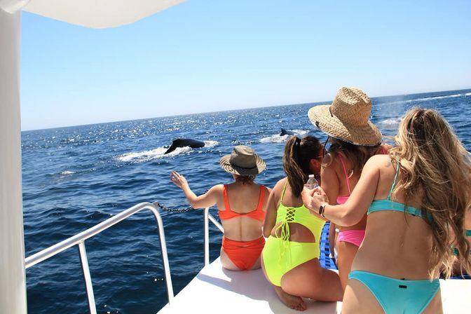 3-Hour Private Snorkeling Tour on Deluxe Catamaran image 9