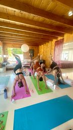 Private Group Yoga: Enjoy a Customized Class at Your Airbnb image 9