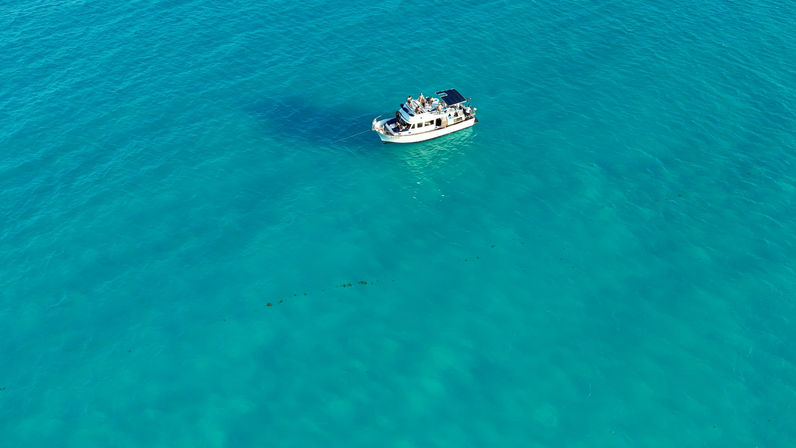 Private Boat Party: Cruise to the Pristine Bay of Isla Mujeres image 10
