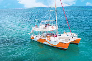 Punta Cana Catamaran Cruise: Snorkeling, Water Slide, Paddle Boards, Open Bar + Snacks image 11