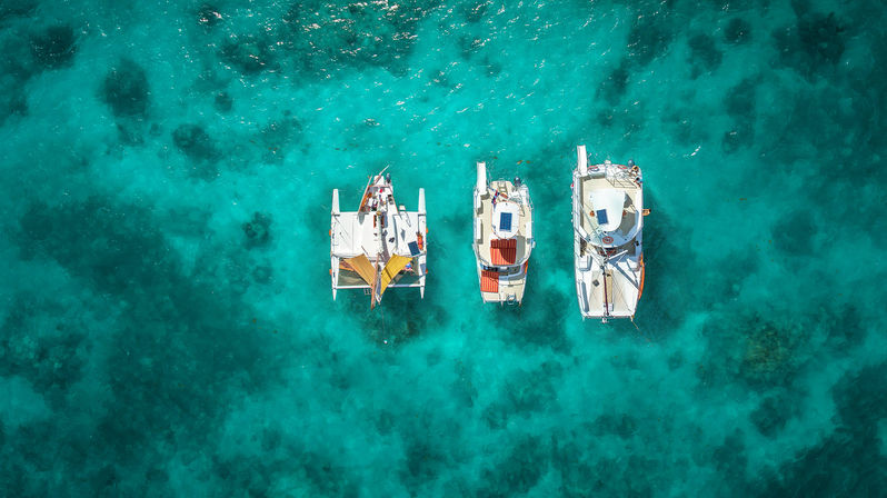 Punta Cana Catamaran Cruise: Snorkeling, Water Slide, Paddle Boards, Open Bar + Snacks image 13