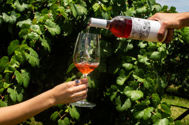 Authentic Cable Car Wine Tour in Fredericksburg, TX image 18