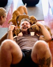 Puppy Yoga Class with Adoptable Puppies image 4