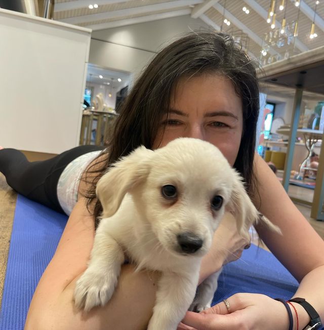 Puppy Yoga Class with Adoptable Puppies image 3