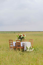 Kansas City Event Planning & Styling: Weddings, Bridal Showers, Bachelorette Decor, & More image 5