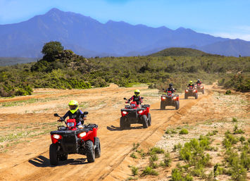 ATV Desert & Canyon Adventure with Tequila Tasting & Mexican Buffet image 11