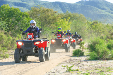 ATV Desert & Canyon Adventure with Tequila Tasting & Mexican Buffet image 1