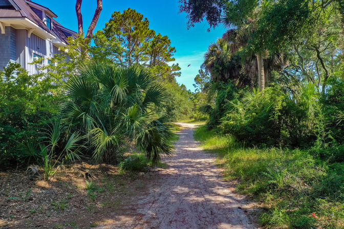 Sal and Babs Sea Pines Sanctuary: Beach Retreat with Ocean Views, Golf & Biking Trails image 36