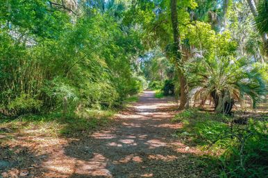 Sal and Babs Sea Pines Sanctuary: Beach Retreat with Ocean Views, Golf & Biking Trails image 20