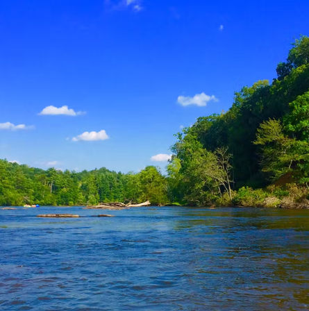 Zen Tubing Trip on The French Broad River (BYOB) image 5