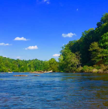 Zen Tubing Trip on The French Broad River (BYOB) image 9