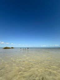 Get to Know the Real Cancun & its Hidden Secrets image 6