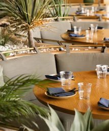 Elephante Scottsdale image 13