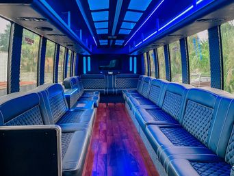 Premium Black Car, Limo & Party Bus Services for Your Tampa Journey image 3