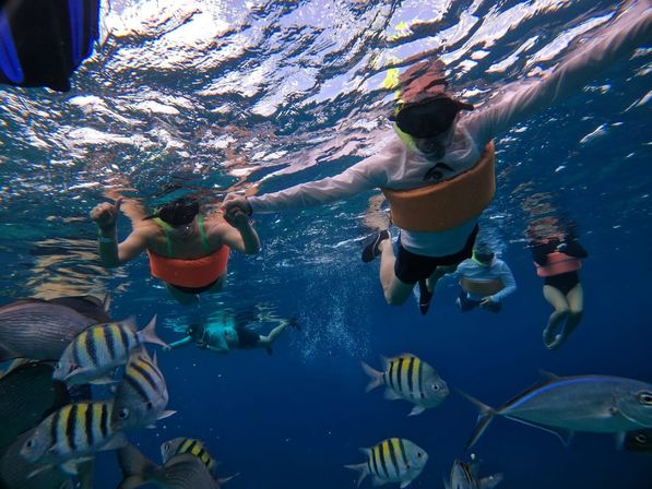 Puerto Morelos Adventure: Private Reef Snorkeling Experience image 7