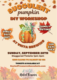 Fall Succulent & Pumpkin Workshops at a Brewery: October 5 image 5
