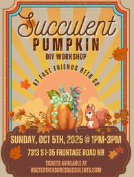 Fall Succulent & Pumpkin Workshops at a Brewery: October 5 image 6