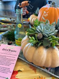 Fall Succulent & Pumpkin Workshops at a Brewery: October 5 image 7