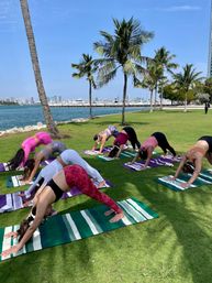 Private Yoga Class with Custom Playlists, Mimosa Add-Ons, and Cold Lavender Eye Towels image 11