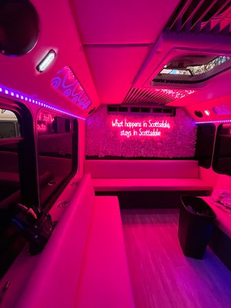 Stunning Pink Party Bus Rental: Day Trip, Night on the Town, Airport Shuttle & More (BYOB) image 8