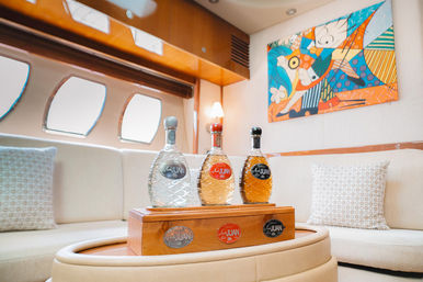 $500 Discount on 4 Hour Charters! All-Inclusive Luxury Yacht Charter: Steel Aweigh 65ft Sea Ray image 12