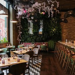 Latin American Dining & Drinks at Seven Reasons image 5