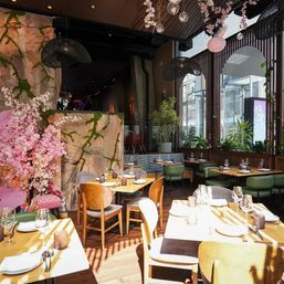 Latin American Dining & Drinks at Seven Reasons image 14