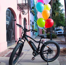 Insta-Worthy E-Bike Tour with Hidden Gems, Hollywood Film Sights, Dolphin Sightings and More image 4